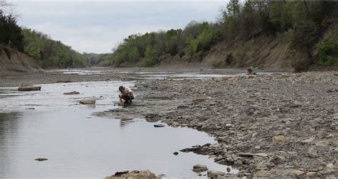 Ladonia Fossil Park Provides Many Treasures; Site Recently Moved | Lake Ralph Hall