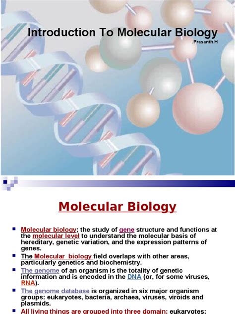 Introduction to Molecular Biology | Directionality (Molecular Biology) | Cell (Biology)