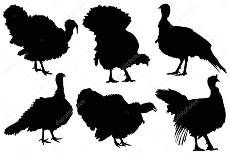 Detailed turkey silhouette vector set — Stock Vector © great19 #182779102