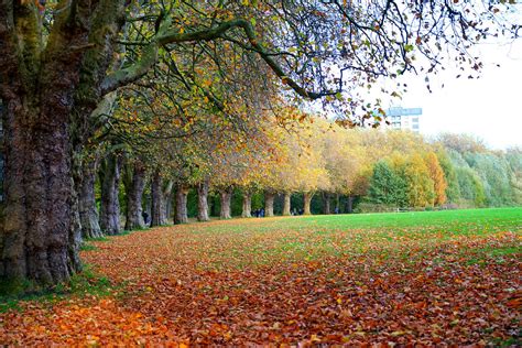 Autumn Sefton Park, Liverpool | ronramstew | Flickr