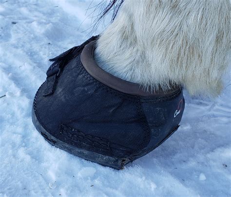 Cavallo Hoof Boots – Product Review – Horse Trail Chicks