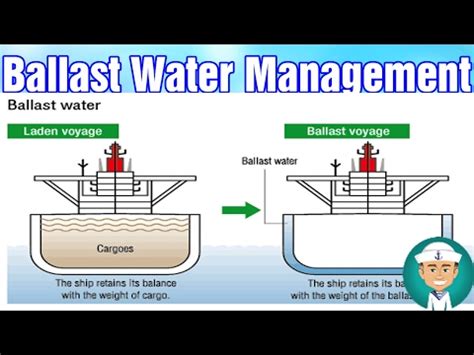Ballast Water Discharge And The Environment - Ballast Water Treatment
