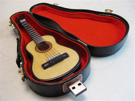 Guitar USB Flash Drive with Carrying Case | Gadgetsin