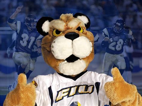 FIU - Florida International University Golden Panthers _ Roary ...