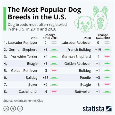 Most Popular Dog Breeds In Us 2024 - Dinah Flossie