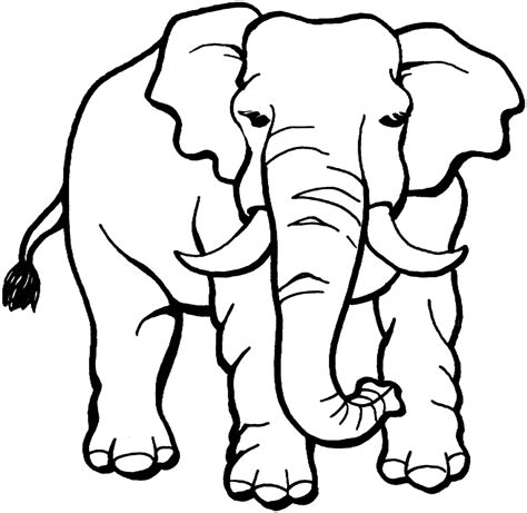 Coloring page: elephant – Free printable downloads from ChoreTell