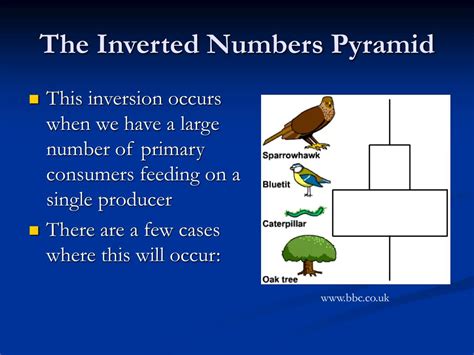 PPT - Biology 20 Unit 1 PowerPoint Presentation, free download - ID:2411184