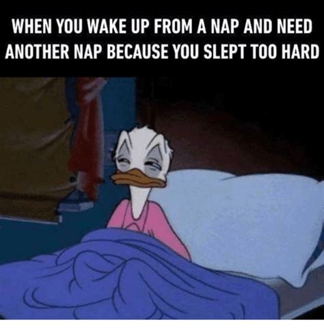 50+ Funny Nap Memes For The Sleep Deprived