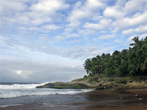 9 Best Beaches Near Trivandrum – Iris Holidays