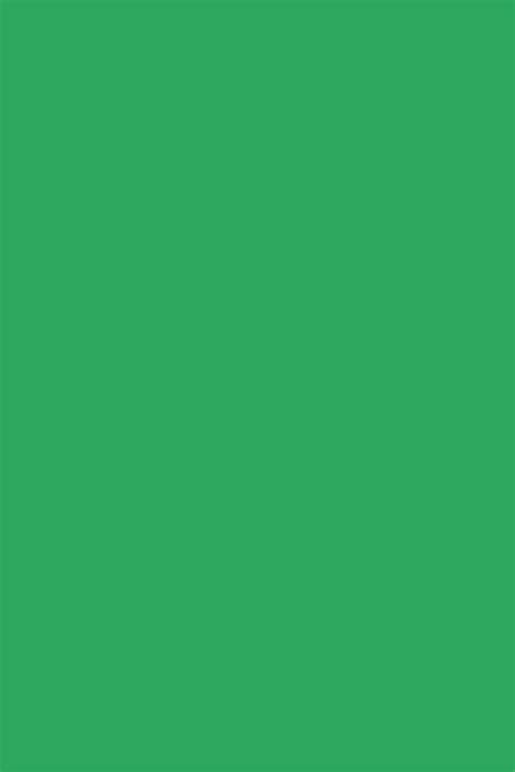 Green Blank - Plain Green Background