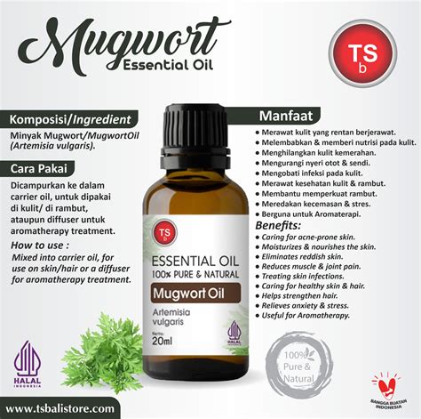 Mugwort Oil – Minyak Mugwort Essential Oil - 20ML - PT Tamba Sanjiwani