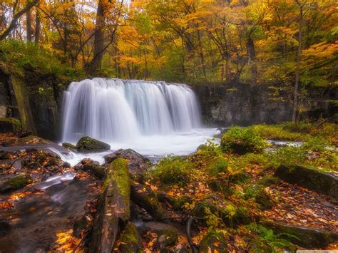 nature, Forest, Autumn, Amazing, Beauty, Waterfall, Landscape Wallpapers HD / Desktop and Mobile ...