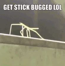 Get Stick Bugged Lol GIF - Get Stick Bugged Lol - Discover & Share GIFs