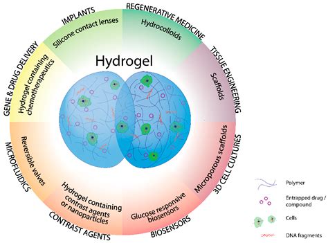 Hydrogels Based Drug Delivery Synthesis, Characterization and ...