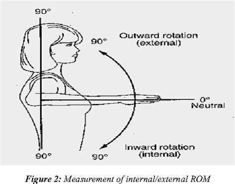 Figure 1 from A Comparison of Internal/External Rotation Strength and Range of Motion in the ...