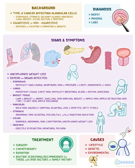 Adenocarcinoma Cancers: Symptoms, Causes, Diagnosis, 49% OFF