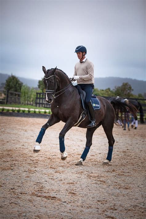 Handling the Equine Athlete with David Shoobridge - Part 1: Building a ...