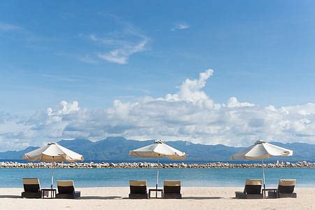 Royalty-Free photo: Umbrellas and lounge chairs on Sunny Beach, Bulgaria | PickPik