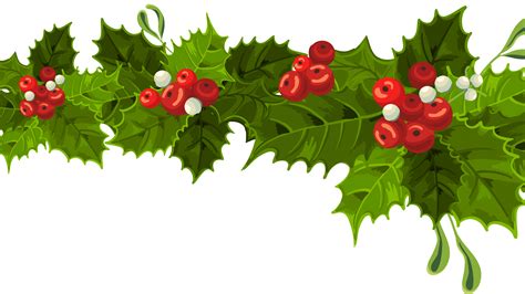 Common holly Christmas decoration Mistletoe Clip art - Christmas Decorating Cliparts png ...