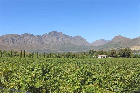 Franschhoek Wine Farms - Wine Tasting Guide - STINGY NOMADS