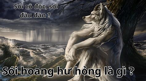 "Sói hoang hư hỏng, sói cô độc" là gì ? | Giải thích meme - YouTube