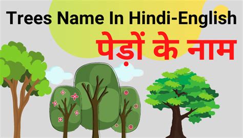 Types Of Indian Trees With Names