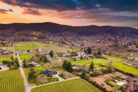 5 Sonoma County Wineries for a Wine Country Escape | AvantStay®