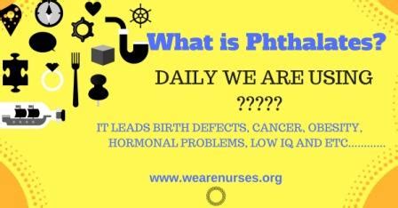 Phthalates and human health effects after eat out -new research report at 2018? - We Are Nurse ...