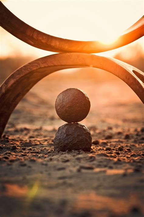 Free Images : tree, rock, person, wood, leaf, flower, stone, live ...