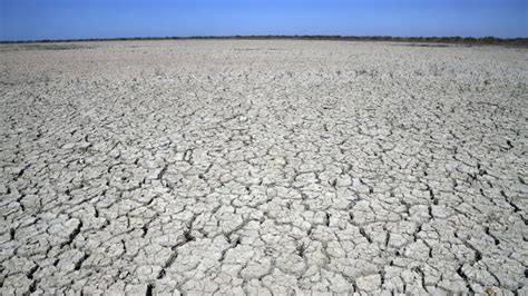 In pictures: Spain faces devastating drought