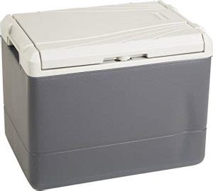 Coleman Thermoelectric 12V Ice Chest Review | Coolers On Sale