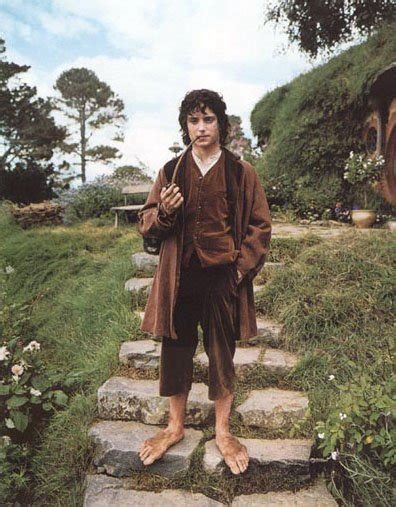 Frodo - Lord of the Rings Photo (10885255) - Fanpop