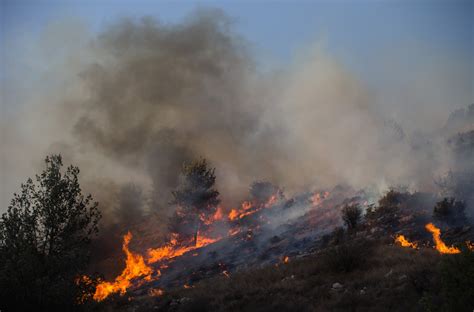 Fires in Israel destroy homes, force evacuations | Jewish Telegraphic ...