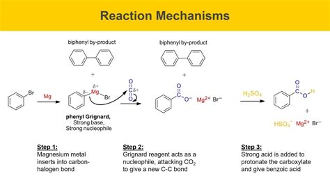 [Solved] the synthesis of benzoic acid from the Grignard reagent You ...