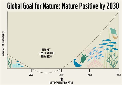 Nature Positive: How to Help Oceans Thrive