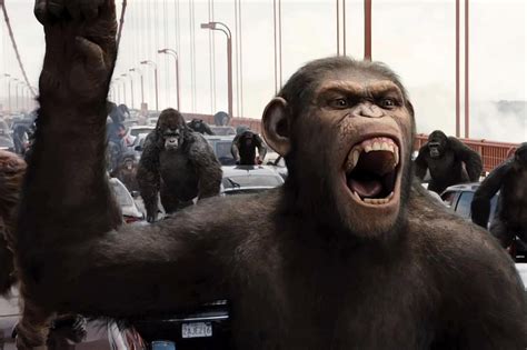 Monkey experiment movies will make you more terrified of the news