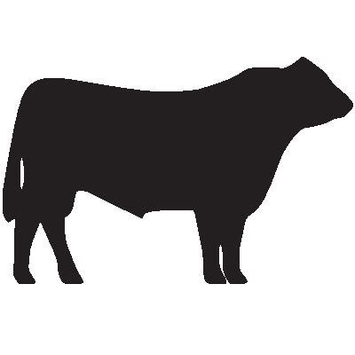 Angus bull outline | Pig silhouette, Silhouette clip art, Cow