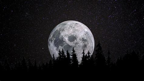 Full moon Wallpaper 4K, Forest, Night, Dark, Starry sky