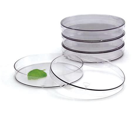 Planet-Safe® Petri Dishes | Plant-Based Petri Dish | EMS