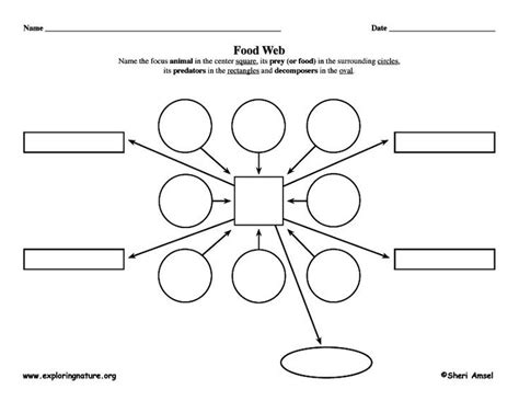 Blank Food Web Template (6) - TEMPLATES EXAMPLE | TEMPLATES EXAMPLE | Food web, Graphic ...