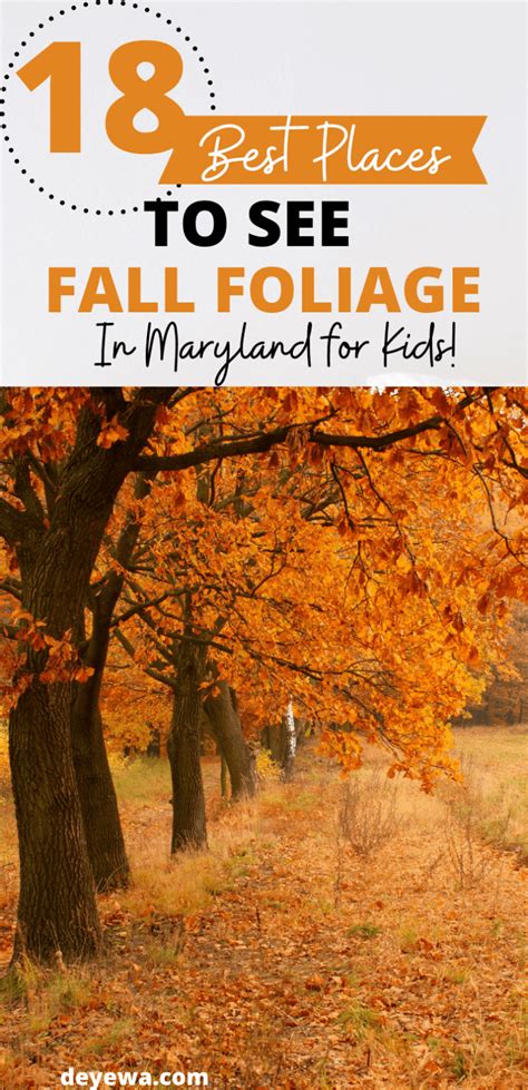 18 Best Places To See Fall Foliage In Maryland (Updated For 2023)