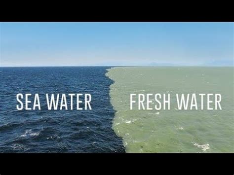 Fresh Water Meets Sea Fraser River Delta just in Front of Vancouver BC Canada # ...