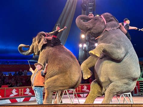 Circus World ending elephant performances