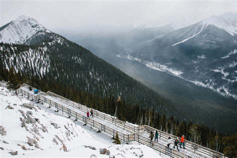 Banff Gondola Official Page | Experience Mountain Top Views & Dining