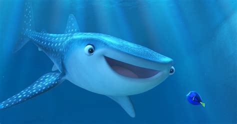 Is Destiny From 'Finding Dory' A Whale Or A Shark? The Character's Origin Is Unclear