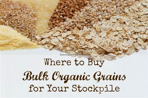 Where to Buy Bulk Organic Grains for Your Stockpile