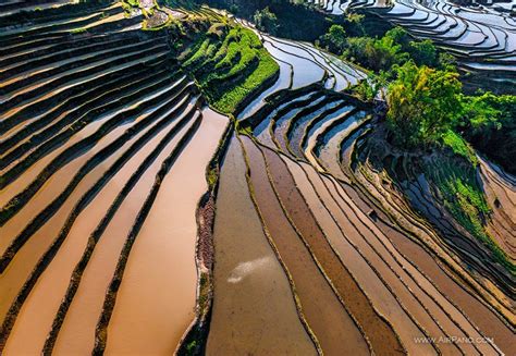 Yuanyang Hani Rice Terraces, China