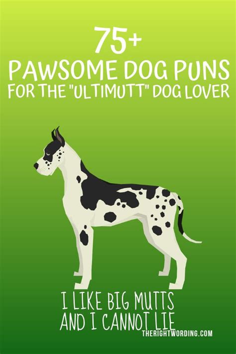 75+ Pawsome Dog Puns For The "Ultimutt" Dog Lover | Dog puns, Clever ...