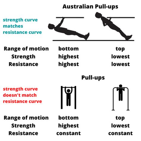 cavitate Vrabie ecartament inverted row vs pull up parfum Asociat Retenţie