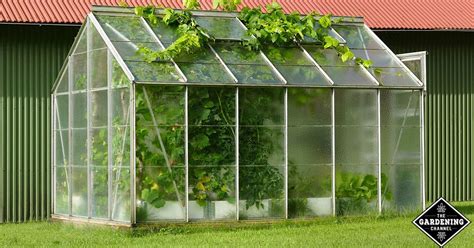 What‌ ‌Vegetables‌ ‌to‌ ‌Grow‌ ‌in‌ ‌a‌ ‌Small‌ ‌Greenhouse:‌ ‌Your‌ ‌Checklist‌